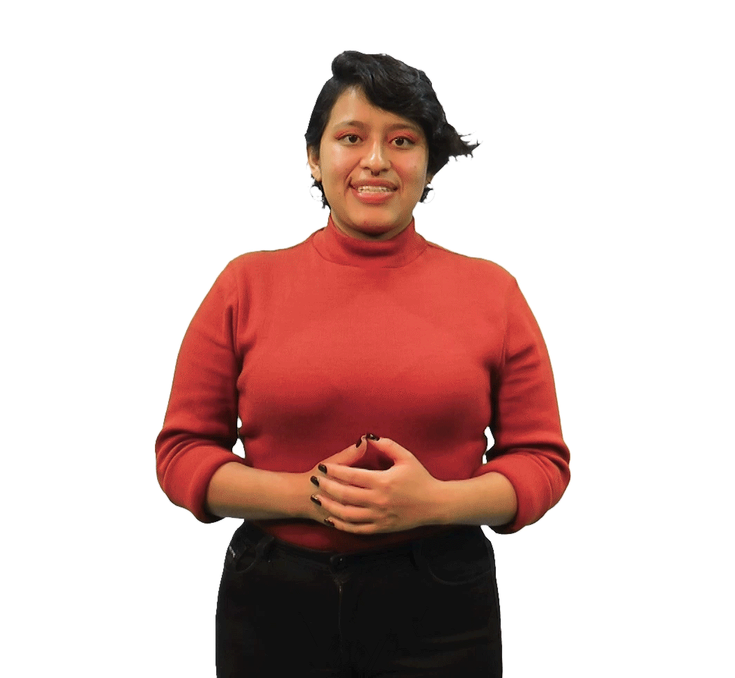 Programacion-bienvenida-en-curso.gif